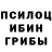 Псилоцибиновые грибы Magic Shrooms elena graham