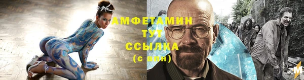 соль ск Абаза